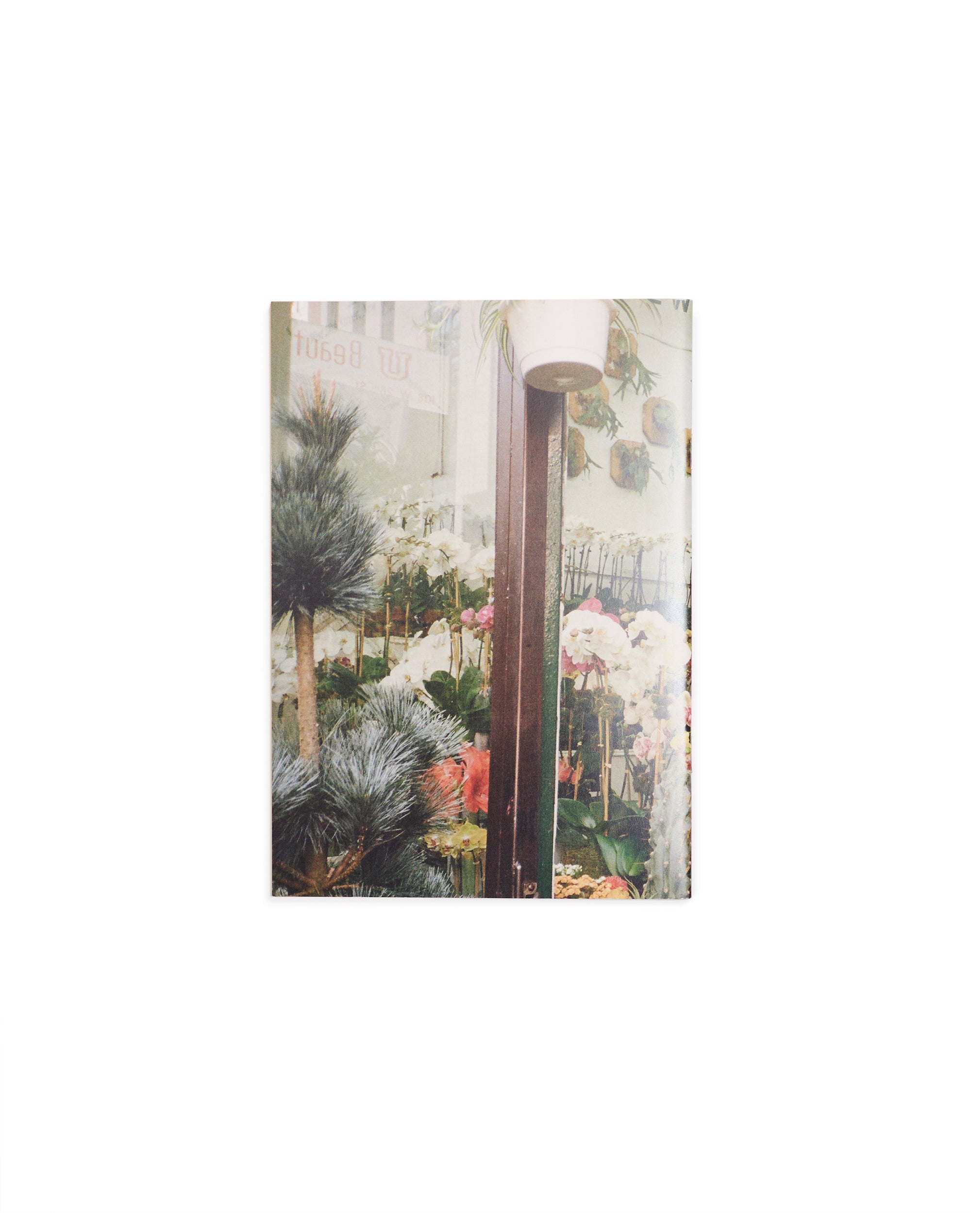 Plantshops of NYC