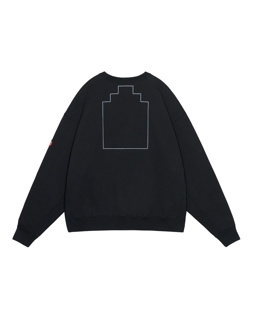 AS Cdisc2_1 CREW NECK