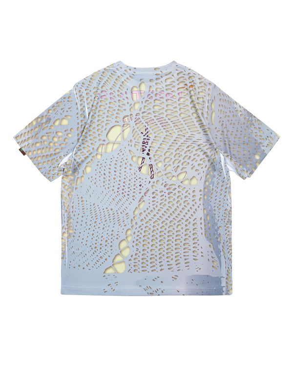 Sub. 4A Plateau x Sub-age "Jun"
