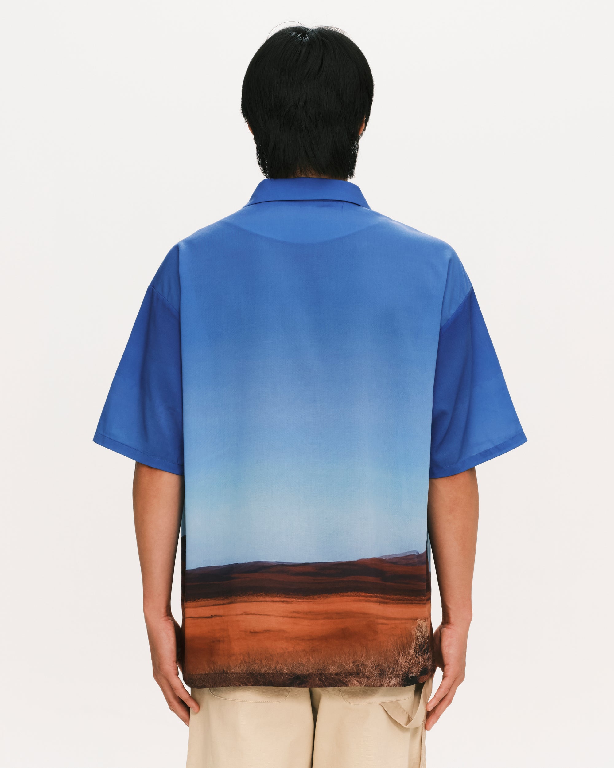 Summer shirt - horse