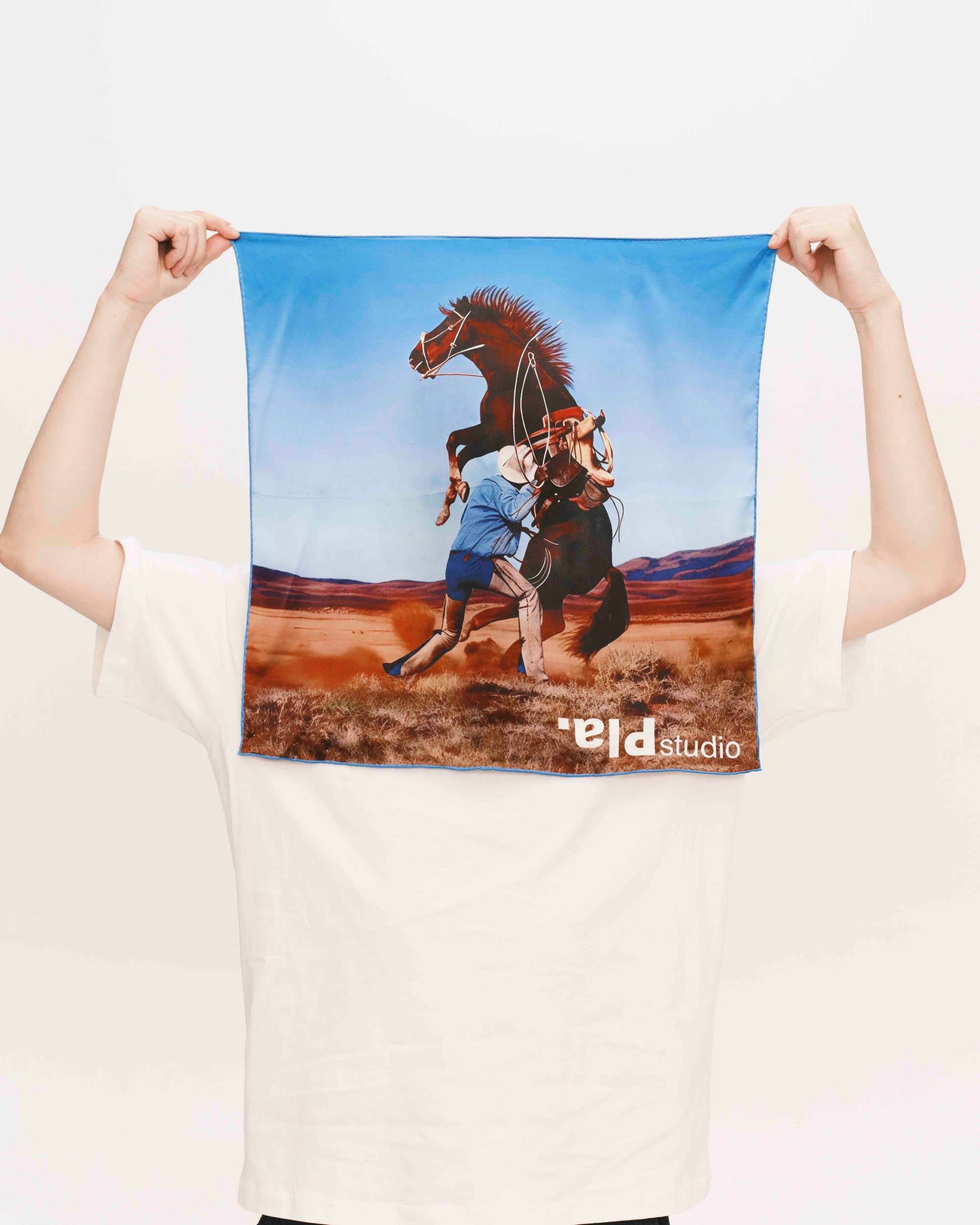 Silk scarf - horse