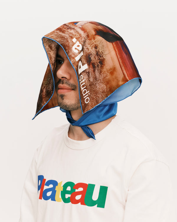 Silk scarf - horse