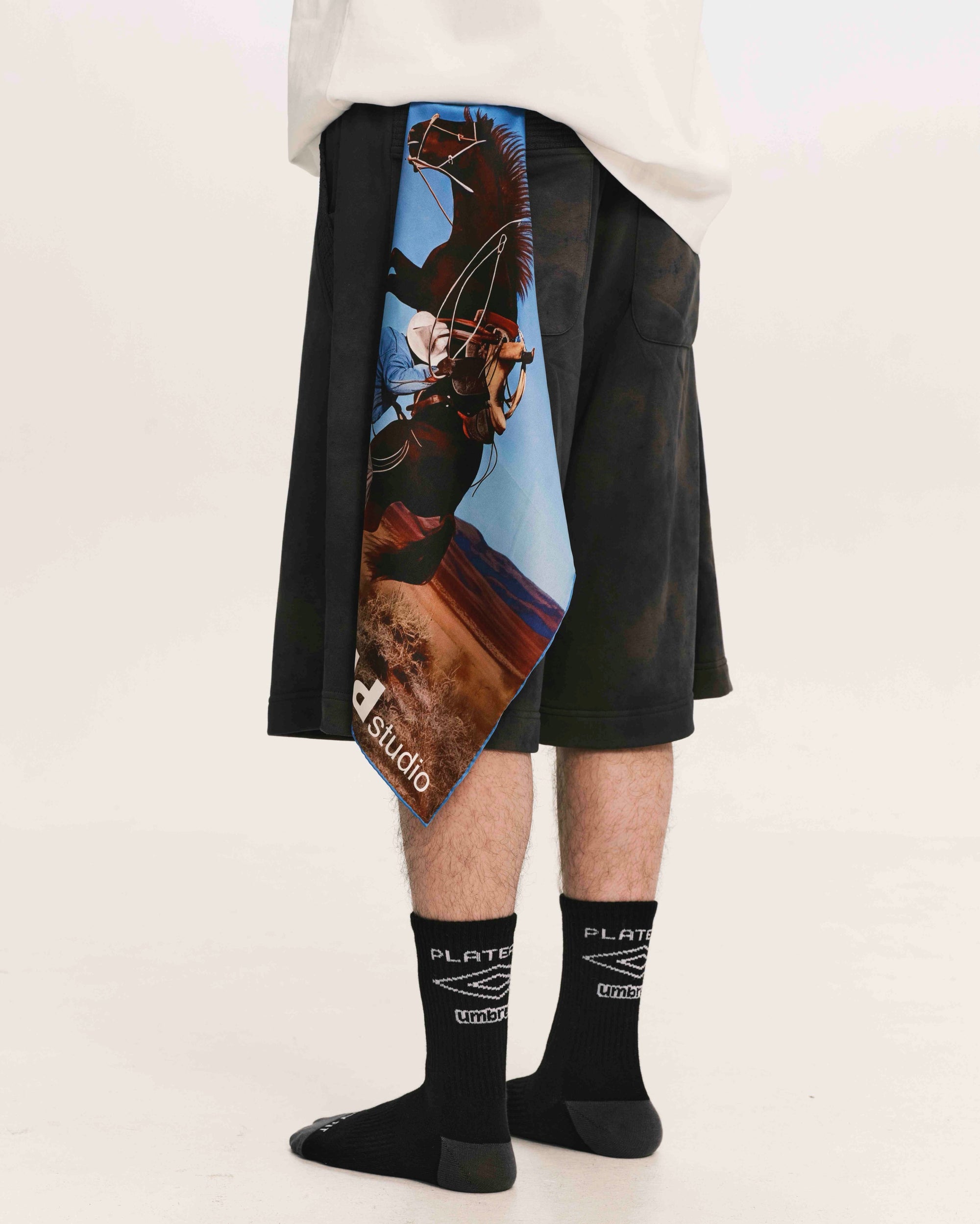Silk scarf - horse