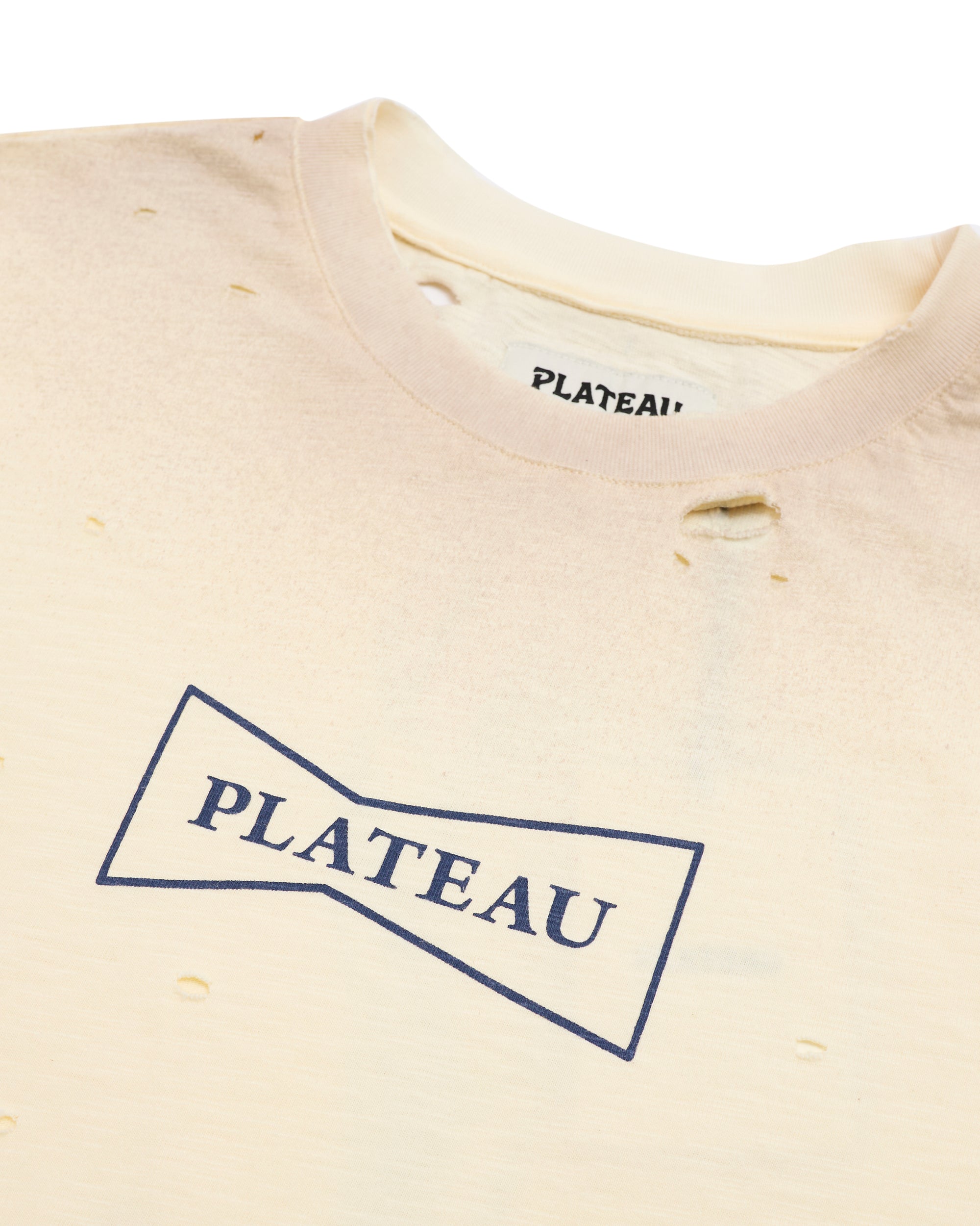 Flower Vintage Tee