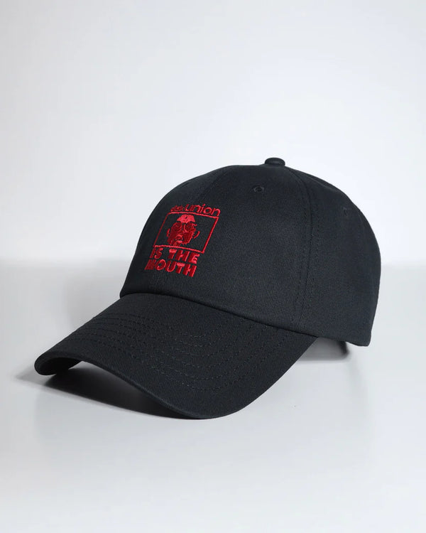 diskunion / NISHIMOTO IS THE MOUTH CAP NIMDU-02