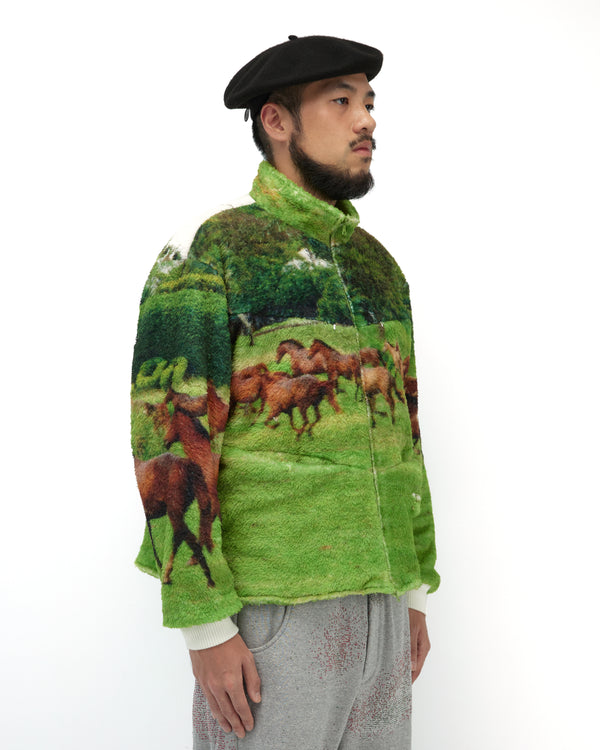 STARRY JACKET (HORSE)