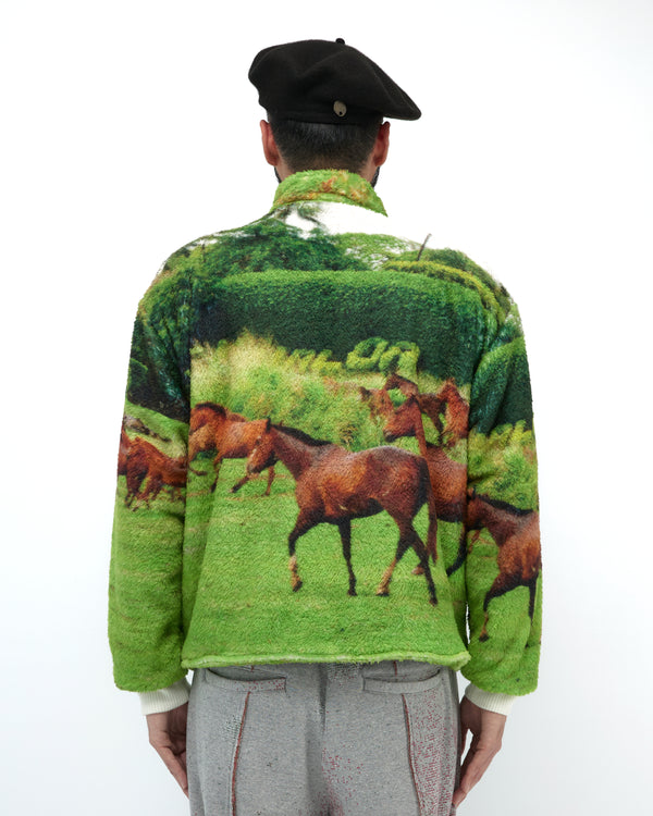 STARRY JACKET (HORSE)