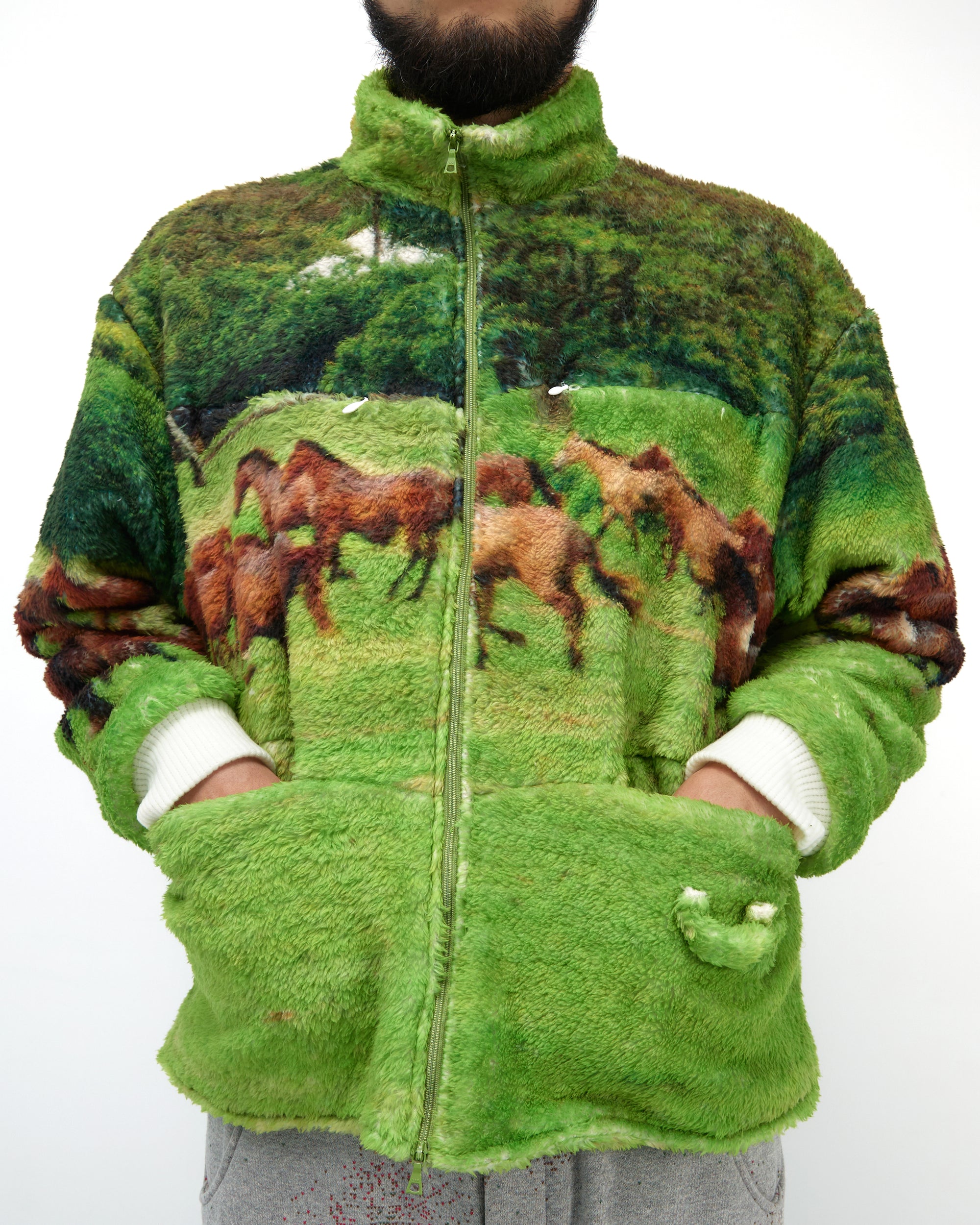 STARRY JACKET (HORSE)